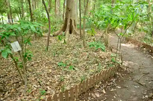 氷川女體神社(埼玉県)