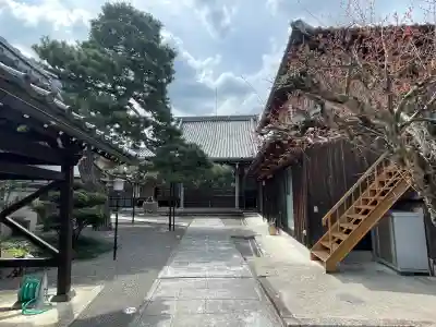誓敬寺の{uncategorized: "未分類", other: "その他", undefined: "問題あり", building: "その他建物", grave: "お墓", sacred_gate: "鳥居", guardian: "狛犬", statue: "像", buddha: "仏像", history: "歴史", nature: "自然", garden: "庭園", animal: "動物", pagoda: "塔", temizu: "手水舎", mountain_gate: "山門・神門", sanctuary: "本殿・本堂", subordinate: "末社・摂社", art: "芸術", scenery: "景色", jizo: "地蔵", ema: "絵馬", goshuin: "御朱印", omikuji: "おみくじ", items: "授与品その他", amulet: "お守り", goshuincho: "御朱印帳", eats: "食事", festival: "お祭り", votive_dance: "神楽", shichigosan: "七五三参", wedding: "結婚式", experience: "体験その他", initially: "初詣", around: "周辺", anti_infection: "感染症対策"}