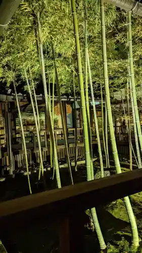 妙顯寺（妙顕寺）(京都府)