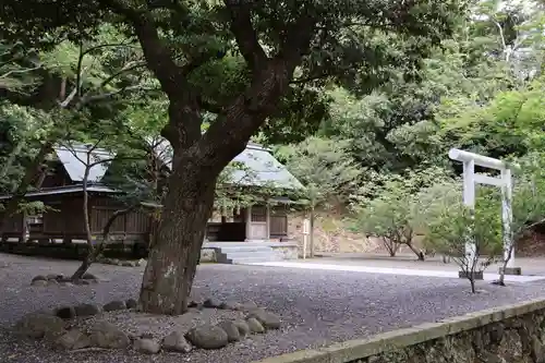 安房神社(千葉県)