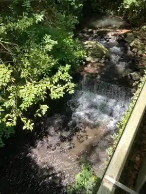 來宮神社(静岡県)