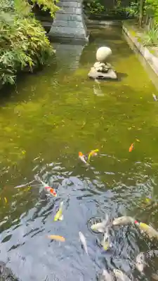 石鎚神社 口之宮 本社(愛媛県)