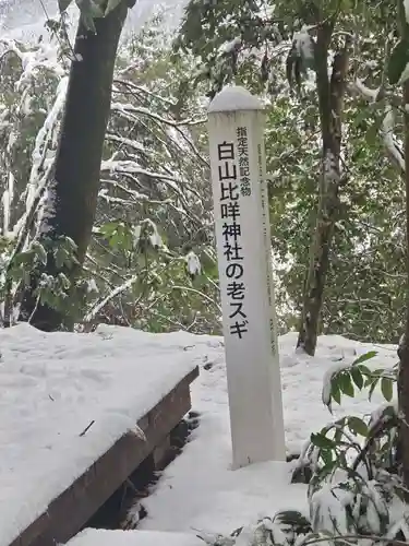 白山比咩神社(石川県)