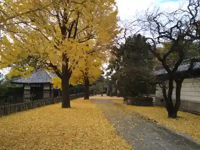 梅林寺(福岡県)