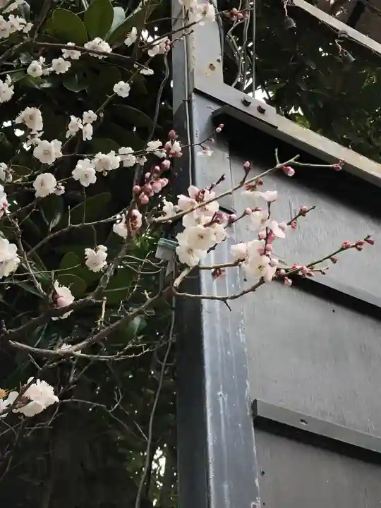 品川貴船神社の自然