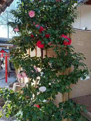 蛇窪神社(東京都)