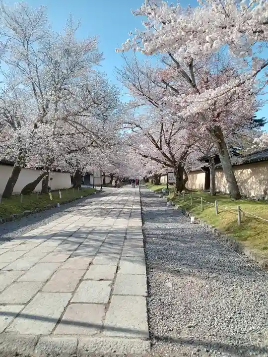 醍醐寺(京都府)