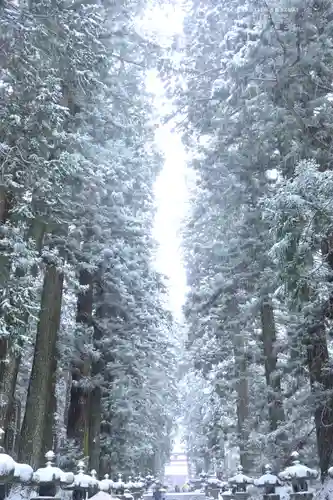 北口本宮冨士浅間神社(山梨県)
