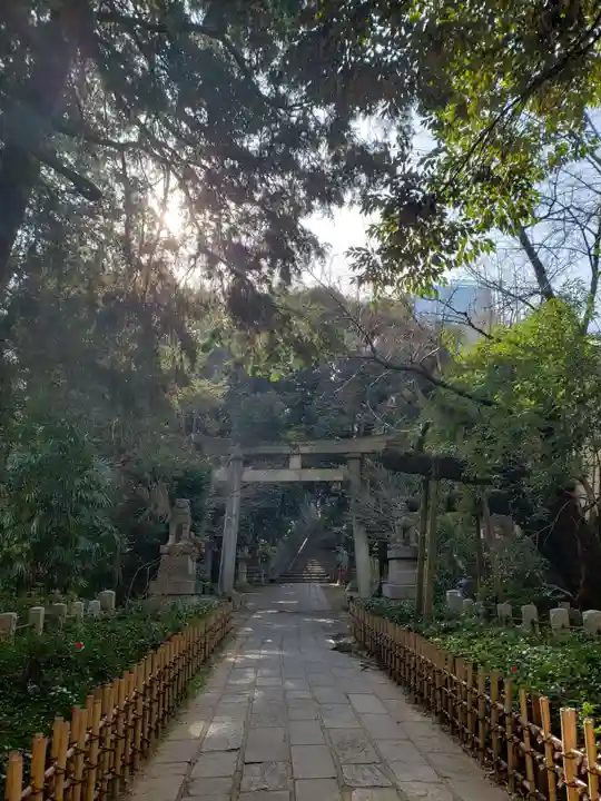 赤坂氷川神社(東京都)