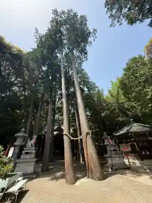 豊川閣　妙厳寺(愛知県)