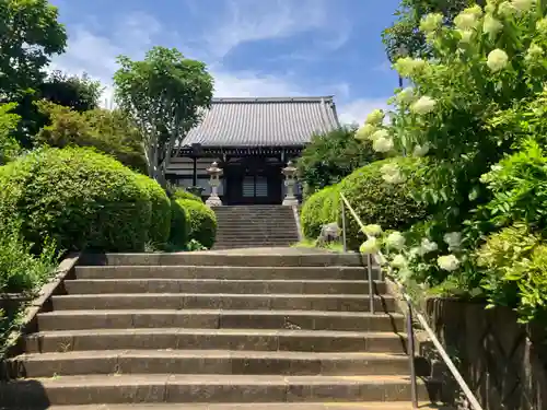 専念寺(神奈川県)