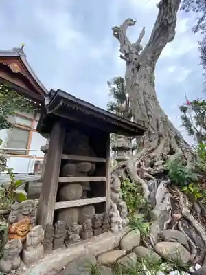 松陰神社のその他建物