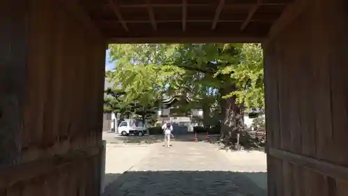 地蔵寺(徳島県)