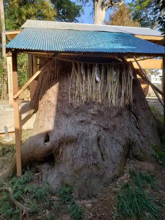 駒形神社のその他建物