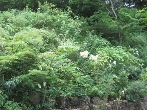 青龍山 吉祥寺(群馬県)