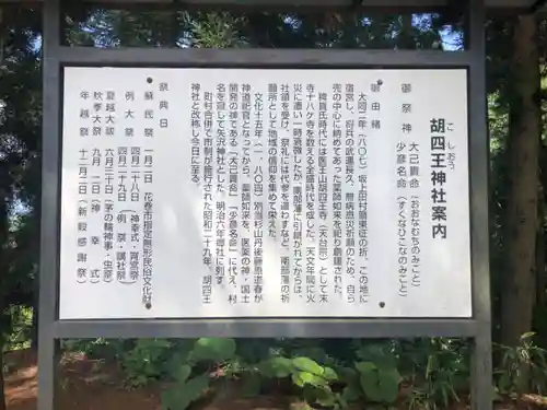 胡四王神社(岩手県)