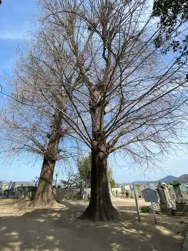 妙興寺(岡山県)