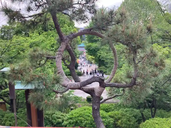 清水観音堂の{uncategorized: "未分類", other: "その他", undefined: "問題あり", building: "その他建物", grave: "お墓", sacred_gate: "鳥居", guardian: "狛犬", statue: "像", buddha: "仏像", history: "歴史", nature: "自然", garden: "庭園", animal: "動物", pagoda: "塔", temizu: "手水舎", mountain_gate: "山門・神門", sanctuary: "本殿・本堂", subordinate: "末社・摂社", art: "芸術", scenery: "景色", jizo: "地蔵", ema: "絵馬", goshuin: "御朱印", omikuji: "おみくじ", items: "授与品その他", amulet: "お守り", goshuincho: "御朱印帳", eats: "食事", festival: "お祭り", votive_dance: "神楽", shichigosan: "七五三参", wedding: "結婚式", experience: "体験その他", initially: "初詣", around: "周辺", anti_infection: "感染症対策"}