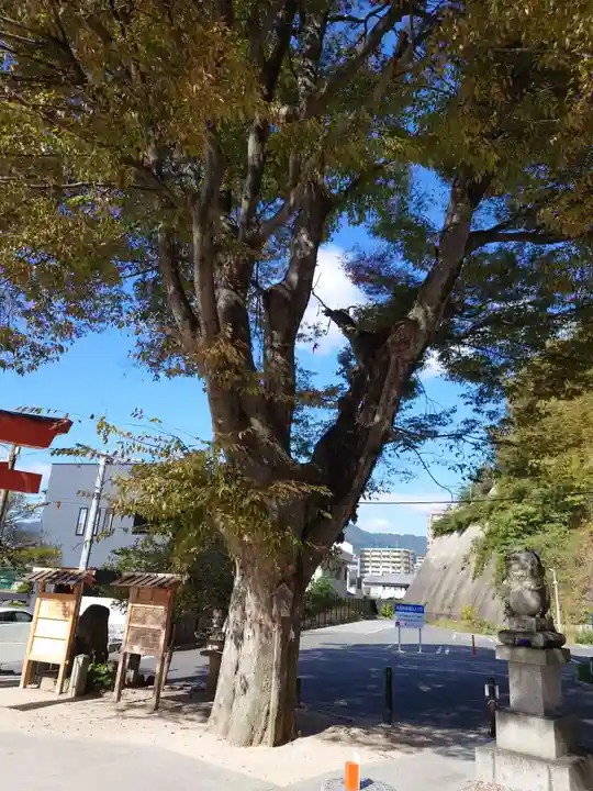 塩屋神社の自然