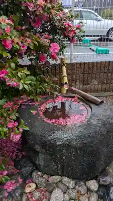 若宮宮(京都府)