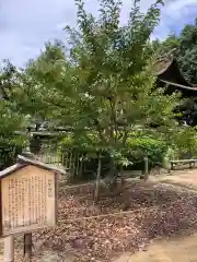 阿智神社の自然