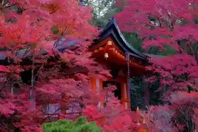 毘沙門堂門跡のその他建物