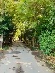 鹿嶋神社(茨城県)