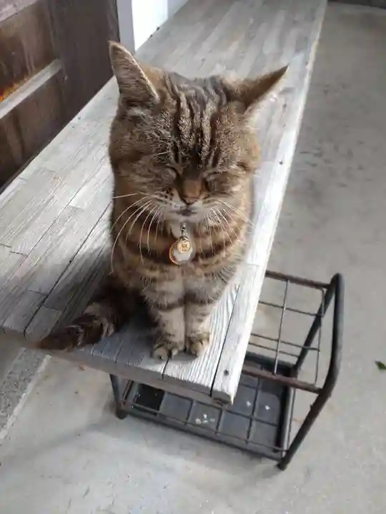 白峯寺(香川県)