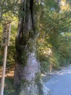 伊勢神宮外宮（豊受大神宮）(三重県)