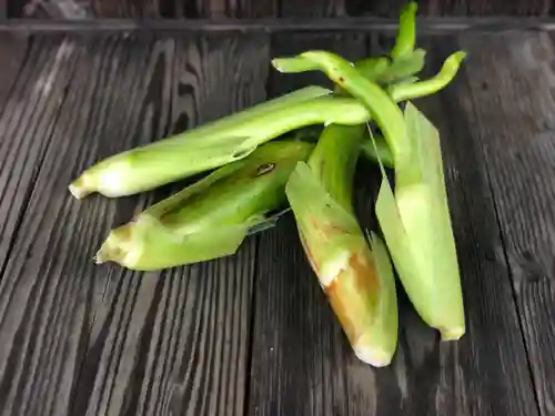 木舟山　順教寺(広島県)