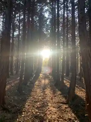八幡神社(千葉県)