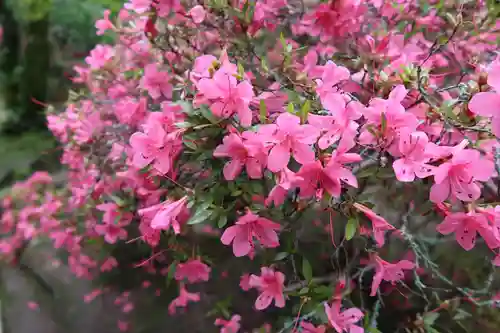 唐招提寺の自然