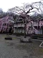 芳盛寺(神奈川県)