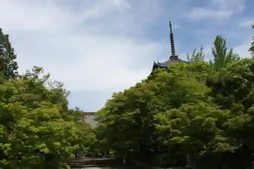 真正極楽寺（真如堂）(京都府)