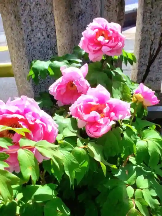 常性寺(東京都)