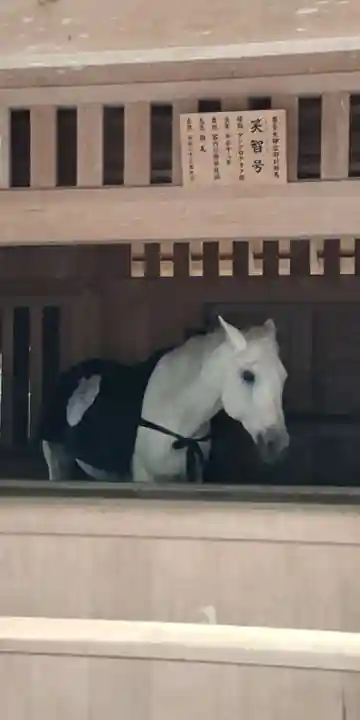 伊勢神宮外宮(豊受大神宮)(三重県)