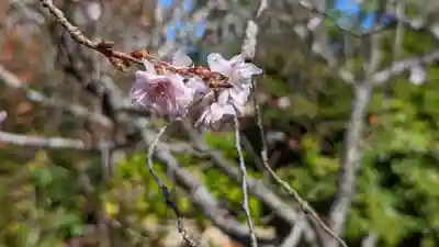 実光院(京都府)