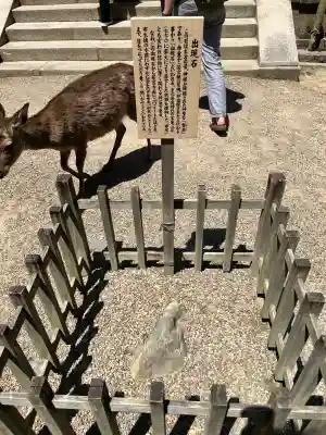 春日大社(奈良県)