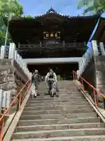 布施弁天 東海寺の{uncategorized: "未分類", other: "その他", undefined: "問題あり", building: "その他建物", grave: "お墓", sacred_gate: "鳥居", guardian: "狛犬", statue: "像", buddha: "仏像", history: "歴史", nature: "自然", garden: "庭園", animal: "動物", pagoda: "塔", temizu: "手水舎", mountain_gate: "山門・神門", sanctuary: "本殿・本堂", subordinate: "末社・摂社", art: "芸術", scenery: "景色", jizo: "地蔵", ema: "絵馬", goshuin: "御朱印", omikuji: "おみくじ", items: "授与品その他", amulet: "お守り", goshuincho: "御朱印帳", eats: "食事", festival: "お祭り", votive_dance: "神楽", shichigosan: "七五三参", wedding: "結婚式", experience: "体験その他", initially: "初詣", around: "周辺", anti_infection: "感染症対策"}