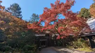 神藏寺(京都府)