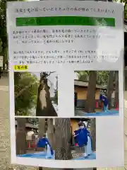 田無神社の建物その他