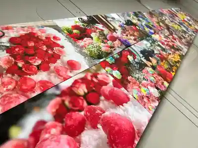 札幌諏訪神社の芸術