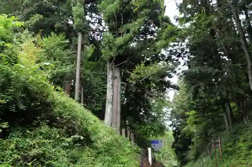 住吉玉津島神社の景色