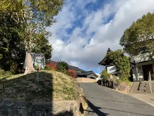 龍福寺（普照庵 龍福寺）(愛知県)