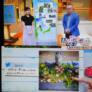 滑川神社 - 仕事と子どもの守り神(福島県)(2020年08月01日(土) 05時43分49秒投稿)