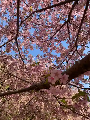 楽法寺（雨引観音）(茨城県)