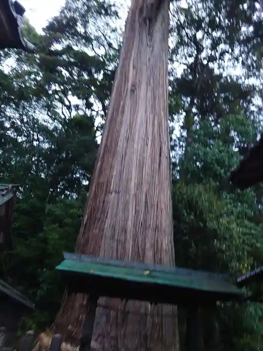 事任八幡宮(静岡県)