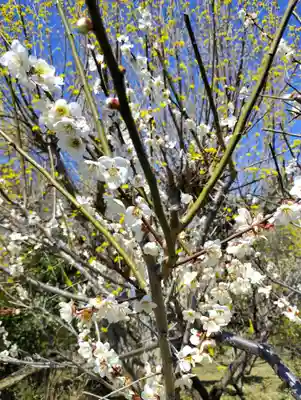 玉巌寺(群馬県)