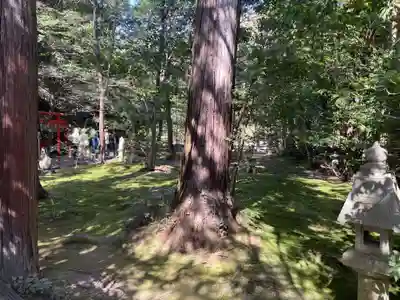 野宮神社(京都府)
