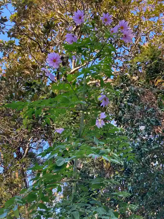 覚園寺(神奈川県)